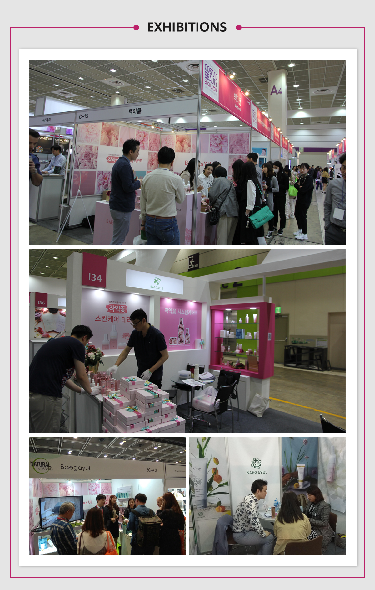 EXHIBITIONS